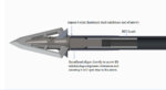 impact_collar_section.jpg