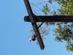 20181117_145940.jpeg