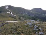 20170711_072916.jpg
