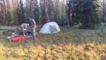 tent1.jpg