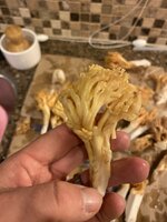 IMG_4871.jpeg