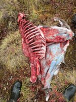 D3549BD2-0D4A-45C6-AB63-02597B82EDFF.jpeg