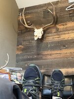 IMG_7582.jpeg IMG_7582.jpeg