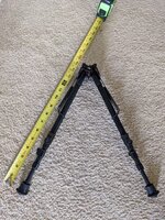PXL_20231025_014637844.jpg