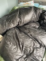 IMG_4002.jpeg
