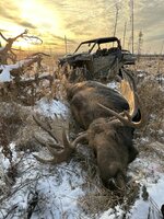 IMG_0179.jpeg