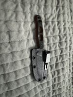 IMG_0398.jpeg