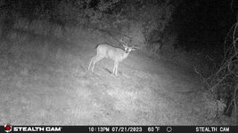 aug creek 25.JPG