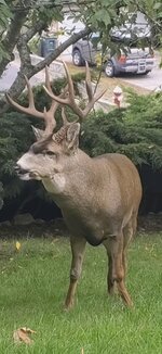IMG_0142.jpeg