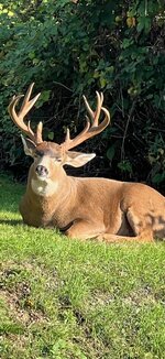 IMG_0008.jpeg