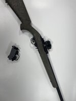 IMG_0095.jpeg