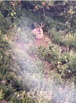 IMG_1580.jpeg