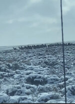 IMG_1800.jpeg