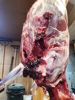 VideoCapture_20231029-203849.jpg
