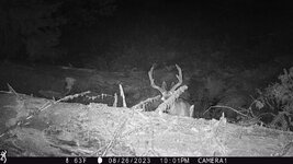 IMG_0738.jpeg