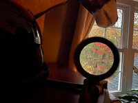 IMG_3641.jpeg