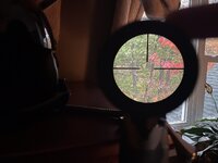 IMG_3643.jpeg