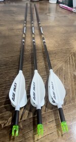 7BDFD9EA-BC24-4836-9737-06B5670A9A59.jpeg 7BDFD9EA-BC24-4836-9737-06B5670A9A59.jpeg