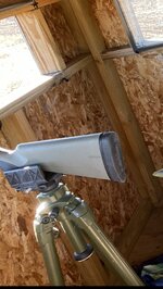 IMG_8548.jpeg IMG_8548.jpeg