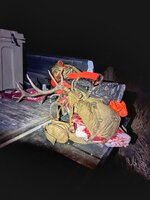 IMG_9912.jpeg