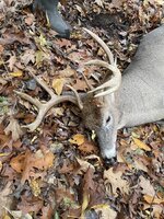 IMG_1512.jpeg