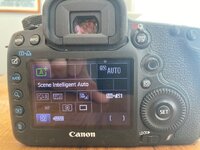 IMG_9415.jpeg