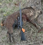 IMG_8580.jpeg