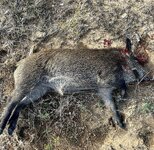 IMG_8576.jpeg