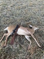 IMG_1285.jpeg