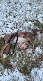 IMG_0564.jpeg