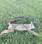 IMG_0423.jpeg