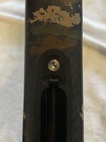 IMG_5860.jpeg
