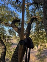 IMG_0914.jpeg