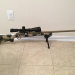IMG_4469.jpeg IMG_4469.jpeg