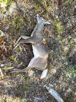 IMG_2563.jpeg