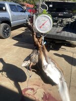 IMG_2616.jpeg