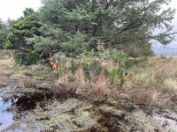IMG_2870.jpeg