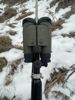IMG_5435.jpeg