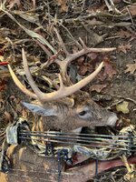 2023 WI Buck Nov 5.jpeg