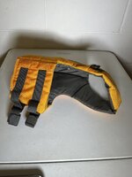 IMG_1175.jpeg