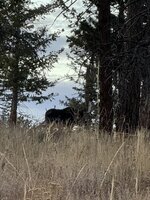 IMG_8484.jpeg IMG_8484.jpeg