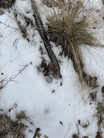 IMG_8463.jpeg IMG_8463.jpeg
