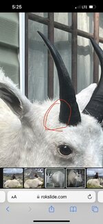 IMG_4818.jpeg