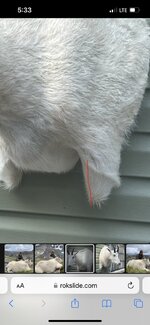 IMG_4821.jpeg