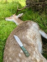 IMG_8945 2.jpeg