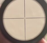 IMG_4072.jpeg