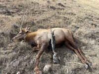 IMG_5958.jpeg