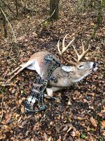 11-6 Buck2.jpg