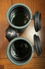 IMG_0074.jpeg