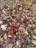 23 BT.2.jpg 23 BT.2.jpg